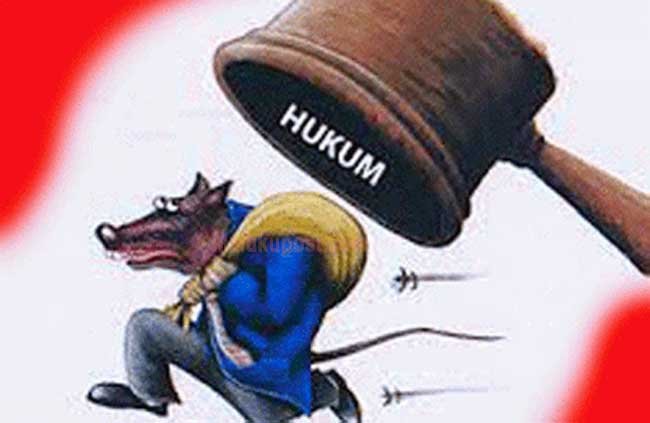 Foto: ilustrasi/istimewa