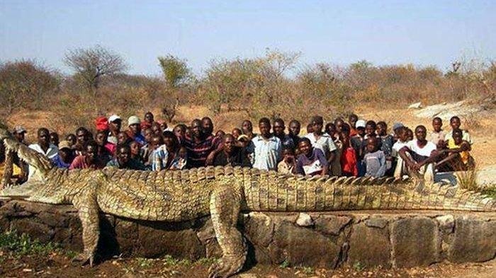 Legenda Gustave menginspirasi sebuah film pada tahun 2007 berjudul "Primeval" - Foto: Istimewa