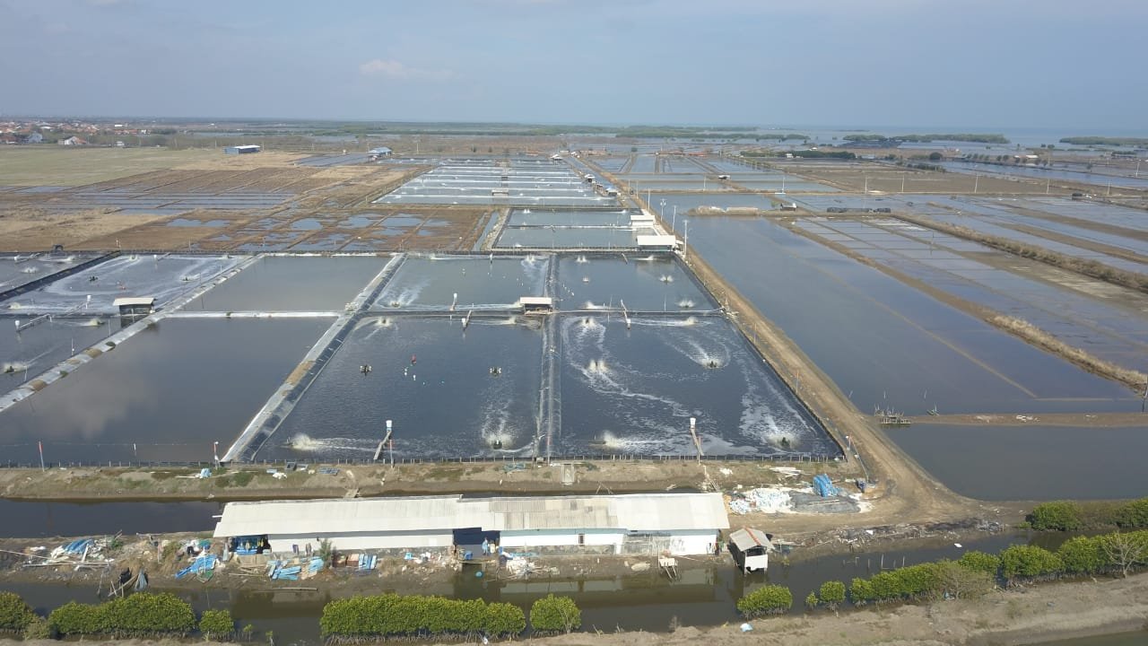 FOTO: HUMAS DITJEN PERIKANAN BUDIDAYA