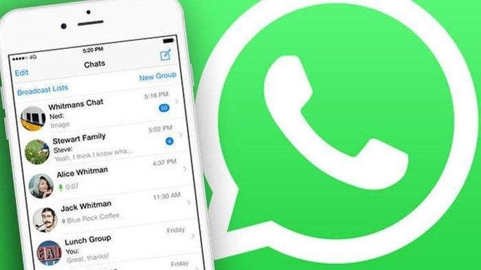 E-mail verifikasi WhatsApp. Fitur WhatsApp