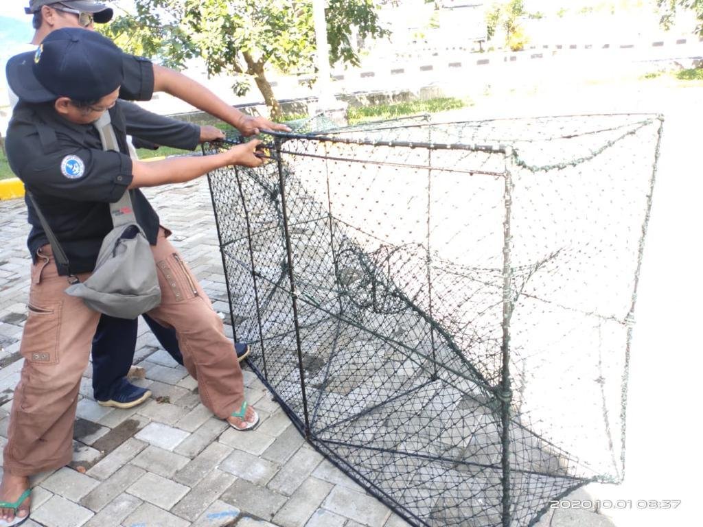 Foto : HUMAS DITJEN PERIKANAN TANGKAP