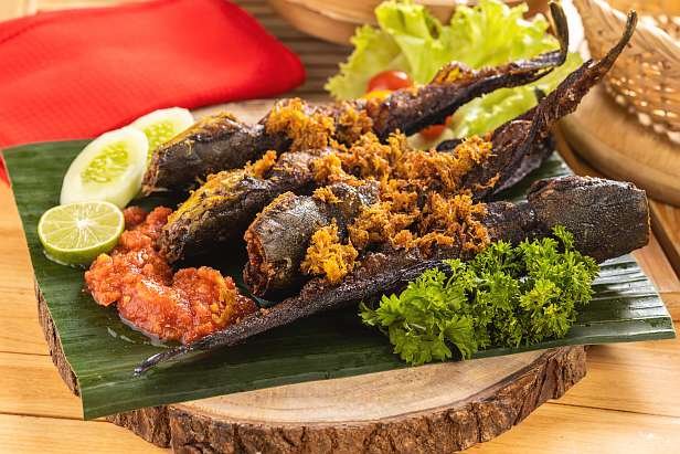 ikan lele