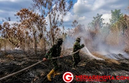Karhutla Masih Membara, Pemerintah Kerahkan Water Bombing hingga Modifikasi Cuaca