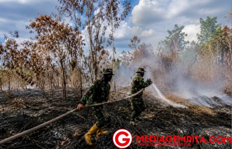 Karhutla Masih Membara, Pemerintah Kerahkan Water Bombing hingga Modifikasi Cuaca